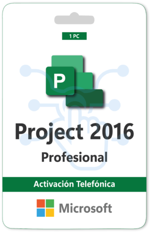 Project Profesional 2016