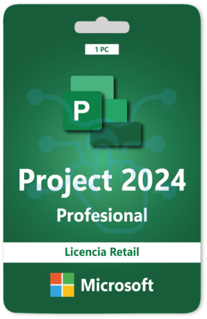 Project Profesional 2024